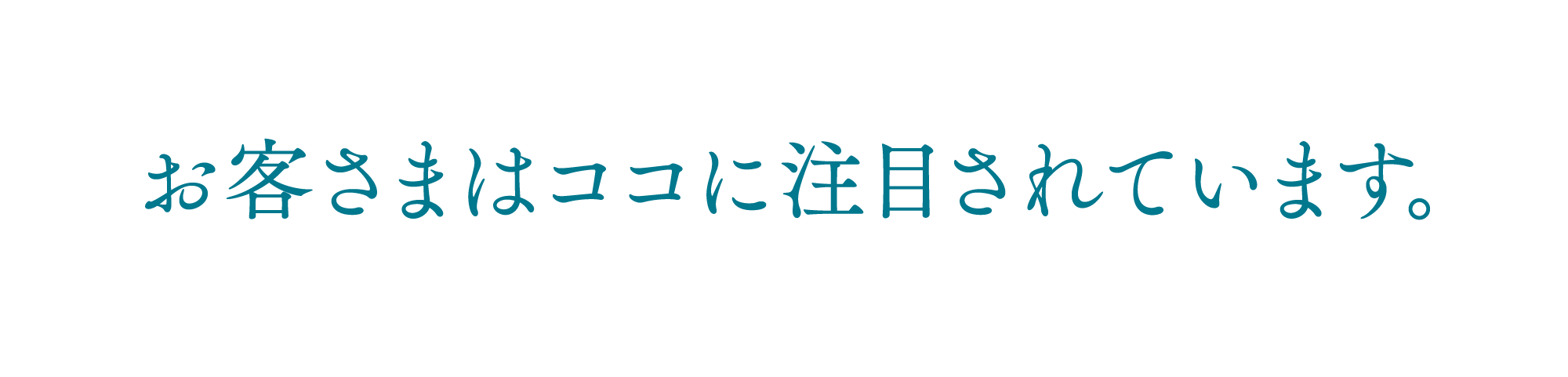 お客様はココに注目されています